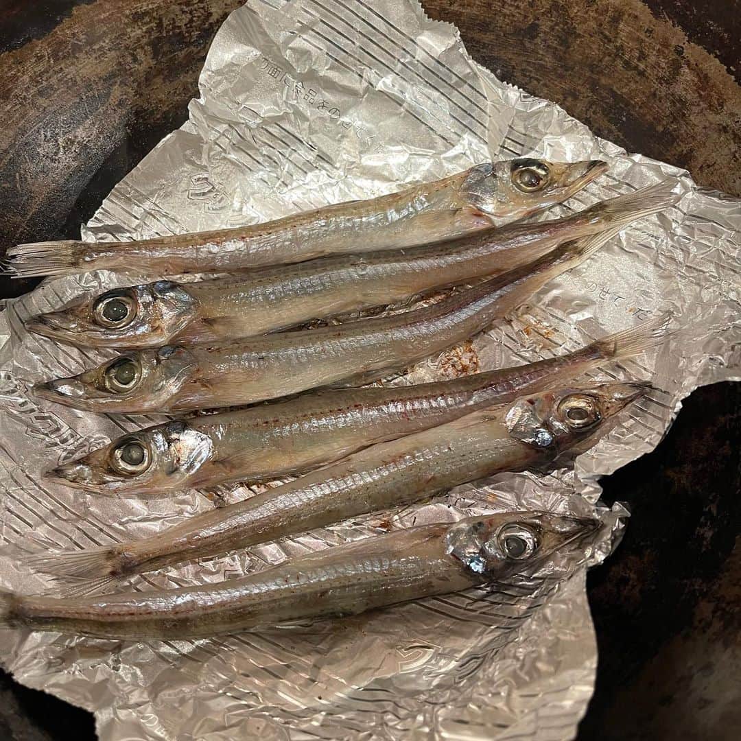 池田有希子さんのインスタグラム写真 - (池田有希子Instagram)「にぎすです。」4月16日 22時17分 - yukikoikeda
