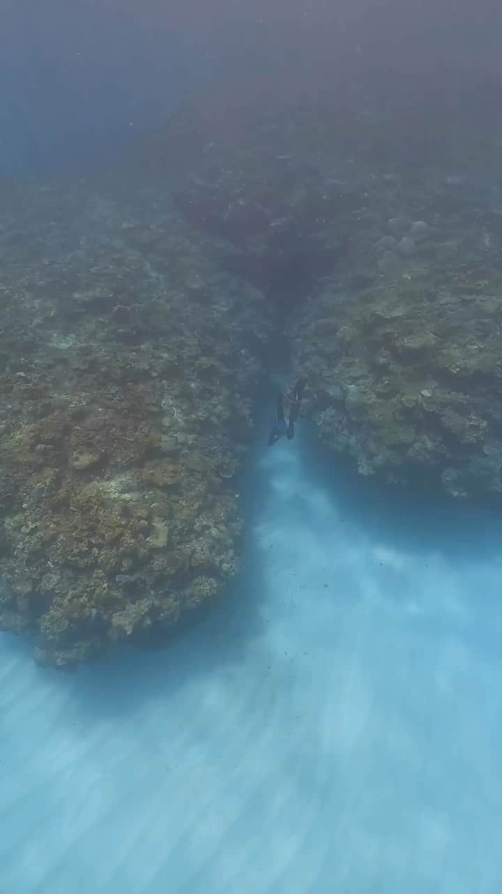 馬場裕之のインスタグラム：「#宮古島 #skindiving #miyakojima」