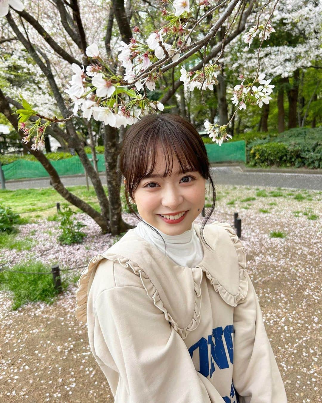 倉野尾成美さんのインスタグラム写真 - (倉野尾成美Instagram)「満開の桜、また来年も見たいな🌸」4月16日 22時45分 - noochan_1108