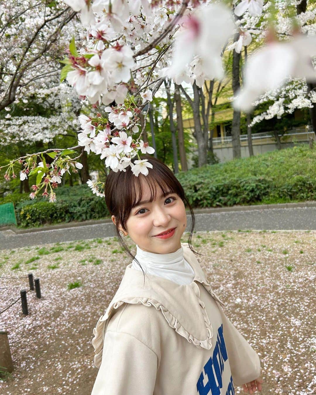 倉野尾成美さんのインスタグラム写真 - (倉野尾成美Instagram)「満開の桜、また来年も見たいな🌸」4月16日 22時45分 - noochan_1108