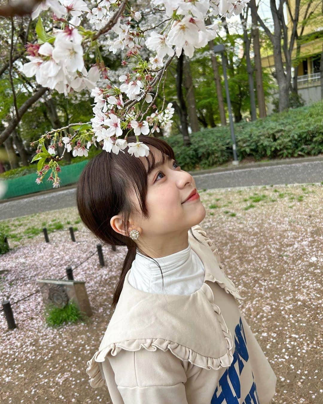 倉野尾成美さんのインスタグラム写真 - (倉野尾成美Instagram)「満開の桜、また来年も見たいな🌸」4月16日 22時45分 - noochan_1108