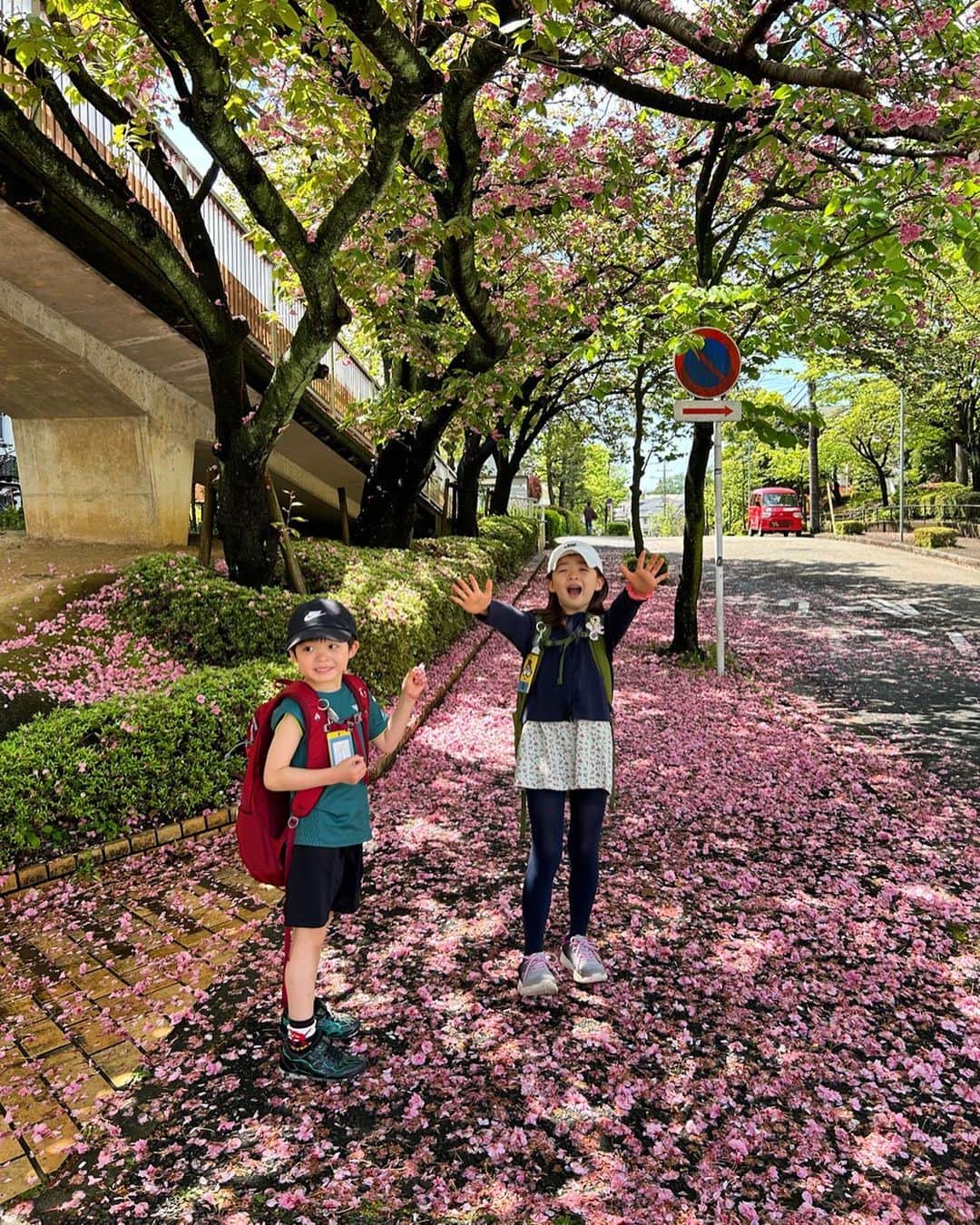 中岡由佳さんのインスタグラム写真 - (中岡由佳Instagram)「❇︎ 桜の絨毯🌸🌸と新緑に包まれて。 #cherryblossom #lovely #8y8m  #6y0m  #japan」4月16日 22時52分 - yuka_nakaoka