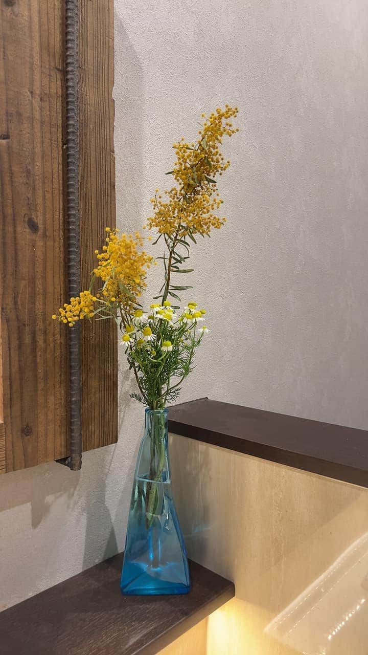 R!Nのインスタグラム：「職場のトイレにミモザ。 花言葉は秘密の恋。」