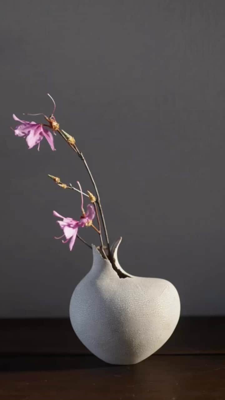 Joe Ideのインスタグラム：「@8.1.2flower の花瓶の撮影に使う草花を 採取してきました🚶‍♂️！  撮影は　@saki_wakaizumi  最近俺より写真褒められてて  かなりカンに触ります💦  でも花瓶もハッカニブンノイチの花もいつも  見たことないのばかりだし形が可愛い🌞  石みたいに一つ一つ形も違うし色味も違う🤔」