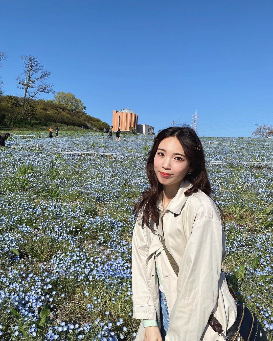 のインスタグラム：「. . 初めてネモフィラ畑行ってきた〜💠 きれいだった☺️ . #愛知牧場 #ネモフィラ #ネモフィラ畑 #愛知おでかけ #日進」