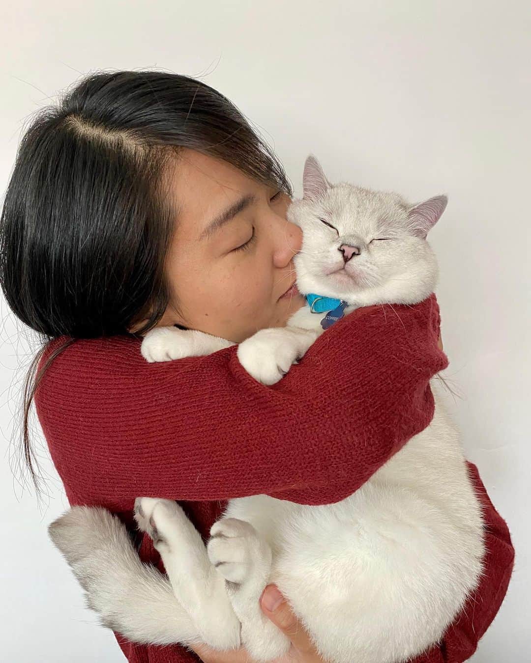 ミスター・ホワイトさんのインスタグラム写真 - (ミスター・ホワイトInstagram)「Mama’s boy ❤️  #love #meow #cute #cat #catsofinstagram」4月16日 23時57分 - white_coffee_cat