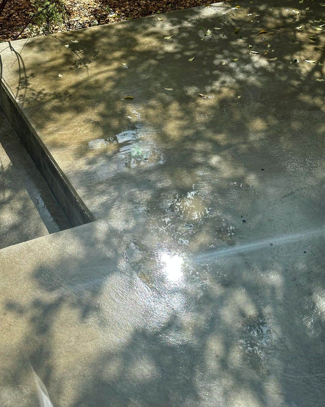 風間ゆみえのインスタグラム：「今日は久しぶりにお家でゆっくり。  雨も雹もかみなりもお日様も、雨上がりの植物がキラキラしてきれい。」