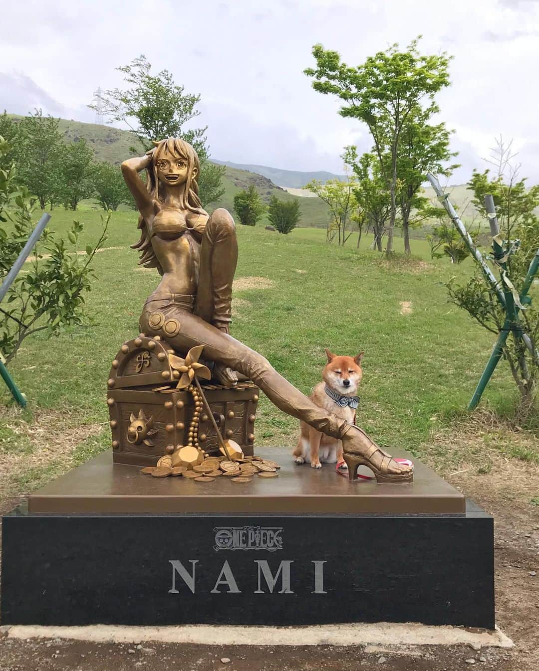 柴犬はなこ Shibainu Hanakoのインスタグラム：「久々に南阿蘇へ🚗 前からワンピースが熊本復興のお手伝いしてるのは知っててウソップ像は見てたけど、たまたまナミに会えた😆 意識してなかったけど、ちょうど一昨日が震災から7年目。呼ばれたのかな…？ #shiba #dog #shibainu #犬 #柴犬 #ワンピース #麦わらの一味ヒノ国復興編 #ナミ ちなみにナミフィギュアは売り切れてました！」