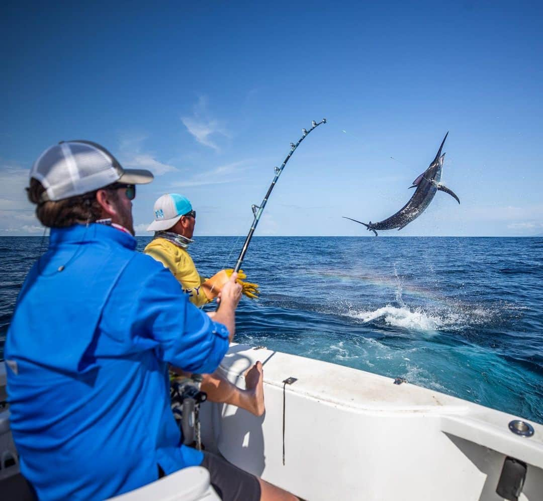 Costa Sunglassesさんのインスタグラム写真 - (Costa SunglassesInstagram)「Elevate your heart rate.  #SeeWhatsOutThere #MarlinFishing #Sportfishing 📸: @hannesribbner」4月17日 0時30分 - costasunglasses