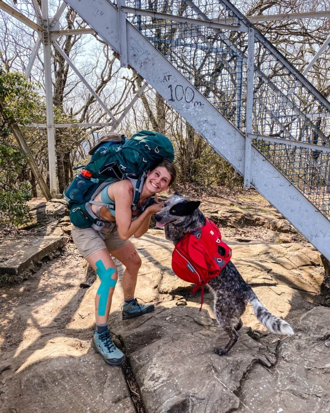 オスプレーのインスタグラム：「🐶 Cheers to our best friends who are there every step of the way. | 📷 @jennie.adventures | Featured pack from the Atmos/Aura AG Series | #OspreyPacks」