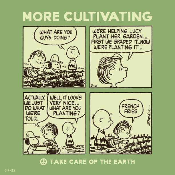 のインスタグラム：「What will you plant in your garden? #TakeCareOfTheEarth」