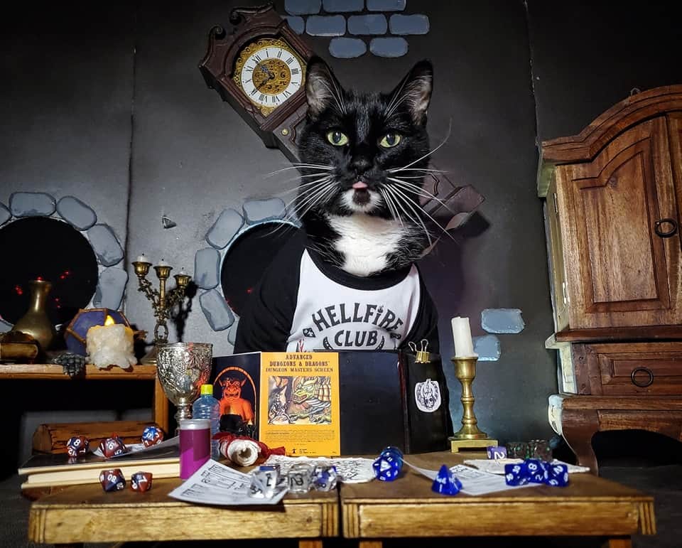 猫コスプレさんのインスタグラム写真 - (猫コスプレInstagram)「Hellfur Club」4月17日 2時18分 - cat_cosplay