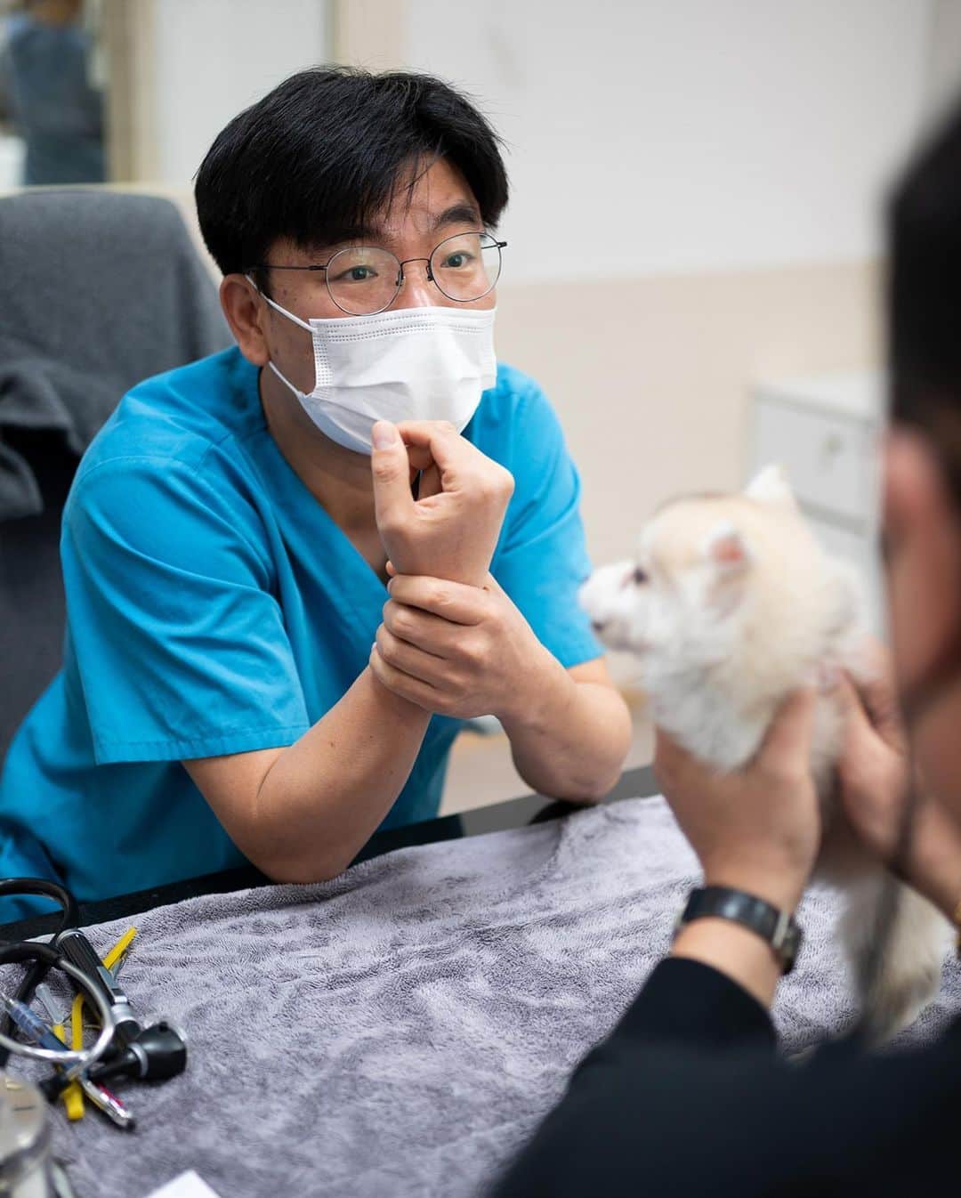 Rolly Pups INCさんのインスタグラム写真 - (Rolly Pups INCInstagram)「Puppies at ROLLY and KPUPS go through thorough initial check-ups before they are posted on our website. 🏥💕」4月17日 12時33分 - kpups.official