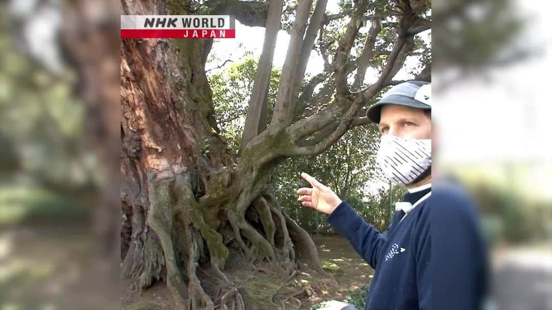 NHK「WORLD-JAPAN」のインスタグラム