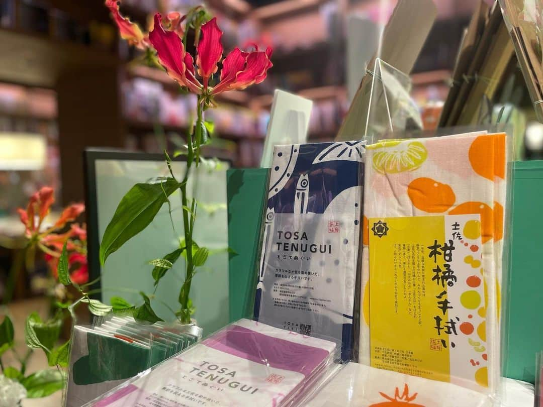 代官山 蔦屋書店　DAIKANYAMA T-SITEさんのインスタグラム写真 - (代官山 蔦屋書店　DAIKANYAMA T-SITEInstagram)「【イベントのお知らせ】 4/23 旅行フロア 「2023年は、高知へ」  ■幸せを呼ぶ花 ブルースター プレゼント！ ⁡ 高知の特産品でもある、幸せを呼ぶ花と言われるブルースターを数量限定でプレゼントいたします。 「#高知の花」等指定のハッシュタグをつけてInstagram・Twitterにフェアの模様を投稿いただいた方が対象です。「高知の花の花持ちレシピ」冊子とあわせてお楽しみください。 ⁡ 日時：4月23日(日) 12:00～18:00 場所：代官山 蔦屋書店 3号館1F 旅行フロア   ■高知 蔦屋書店で好評を博した牧野富太郎博士ゆかりの商品を一挙展開 ⁡ ･牧野富太郎クッキー缶 2,160円(税込) 高知県立牧野植物園のオフィシャルクッキー缶。世界一流ブランドとコラボしている高知の菓子会社、株式会社アンファンが製造し、高知 蔦屋書店では累計1,000個以上が売れた大人気商品です。   ･牧野植物園 オリジナルブレンドティーセット(Makino gift set)1,188円(税込)  牧野博士ゆかりの植物をテーマにしたオリジナルブレンドティーのセット。 牧野博士が命名した植物などをベースにした茶葉のブレンドは、日本一の清流と言われる仁淀川の源流域の摘み草(つみくさ)で作られています。  #牧野博士の新休日 #高知県 #高知 #kochi #高知旅行 #高知観光 #観光 #牧野富太郎 #牧野植物園 #makinobotanicalgarden #神木隆之介 #らんまん #連続テレビ小説 #かみきこうち #代官山蔦屋書店 #daikanyamatsutaya」4月17日 12時44分 - daikanyama.tsutaya