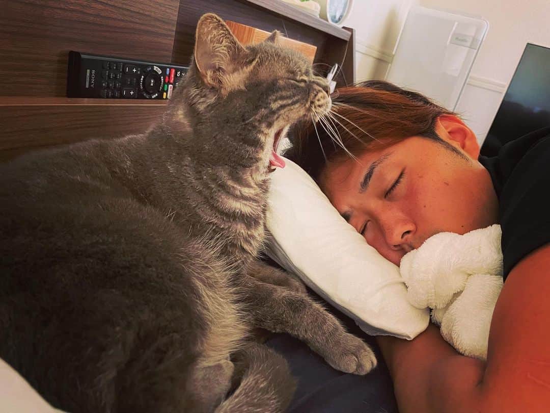 関野剛平のインスタグラム：「、 危なく食われるとこだった！笑笑 #ごーちゃん🐈‍⬛」