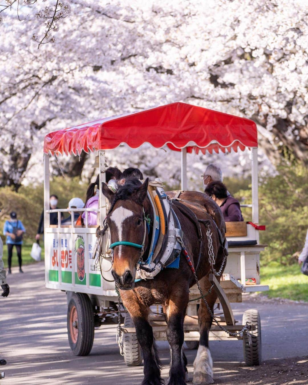 山人のインスタグラム