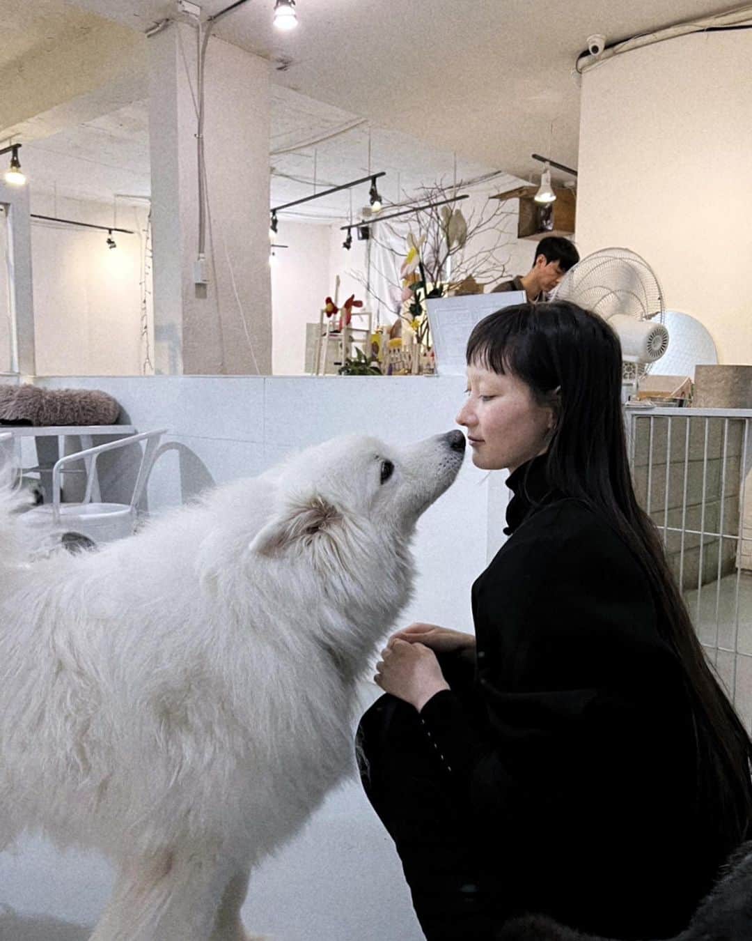 IA（アイエー）さんのインスタグラム写真 - (IA（アイエー）Instagram)「🐩  韓国にあるドッグカフェ行ってきた〜🖤 ここでは保護犬を中心にいろんなワンちゃん居てドリンクの種類も豊富  最年長さんはなんと19歳！(画像最後) 誰よりも元気な抱っこ大好きなおばちゃまでした！🥹  スタッフのお兄さんが動物大好きなのが伝わって １匹１匹ケアの仕方も変えていて良かった👏🏻」4月17日 13時34分 - iaiaiaz5