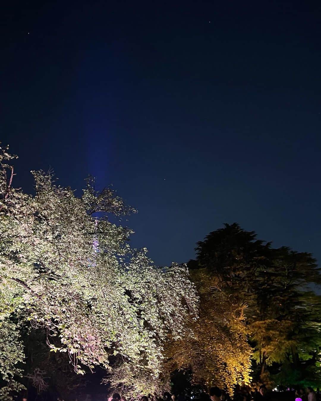 羽田沙織さんのインスタグラム写真 - (羽田沙織Instagram)「今年の桜を見納めに。 NAKED 桜の新宿御苑2023へ  新しいお花見の形ですね。 満開の関山桜へのプロジェクションマッピングもあり、音楽に香りも。 娘も提灯を持って、楽しんでいました。 来年も行きたいそうです。  いつか私がいなくなったあと、見上げる桜はいつも娘を笑顔にしてくれますように。  #桜 #naked #ネイキッド #デジタルアート #art #artlover #アート好きな人と繋がりたい #新宿御苑 #お花見 #関山 #cherryblossom #japan #tokyo #お花見」4月17日 13時50分 - saorihada