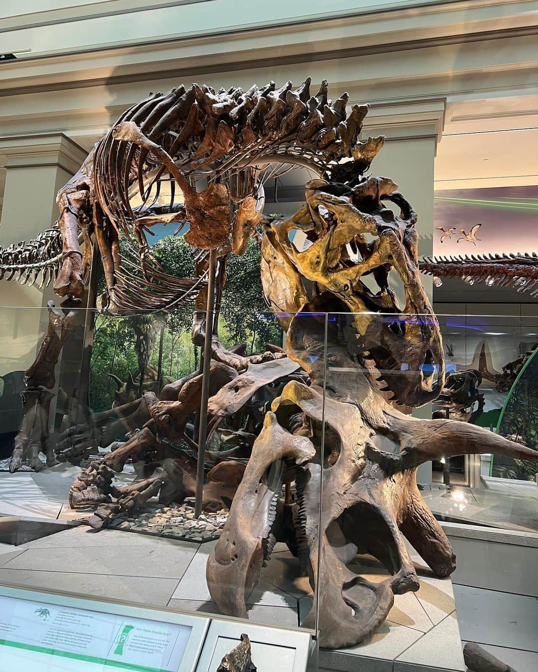 キム・グリームさんのインスタグラム写真 - (キム・グリームInstagram)「미국 최초의 국립 박물관 스미소니언. 워싱턴 DC에만 총 17개가 모여있는데다 엄청난 크기라서 모두 돌아보기는 불가능😵‍💫 제일 가보고싶었던 자연사 박물관 먼저 관람! 영화 ‘박물관이 살아있다’ 촬영지로도 유명한 이곳. 공룡 덕분인지 어른보다 아이들이 훨씬 많았던 박물관 ㅎㅎ 공룡뼈 실제로 보니 진짜 감탄이 나올수밖에 없더라 🦕🦖   #더놀라웠던건 #모든박물관이무료입장 #👏🏻 #GreeminDC」4月17日 13時44分 - greemkim