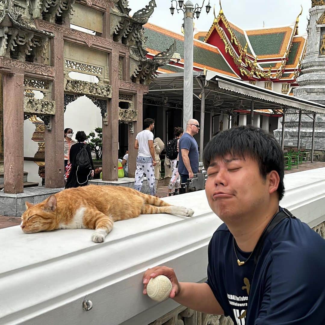 野球YouTuber向さんのインスタグラム写真 - (野球YouTuber向Instagram)「・  タイ王国🇹🇭の世界遺産 伝説のワットポーにて 数多の外国人の方々に コメディアンと言われた男。  #タイ #tailand #ワットポー  #世界遺産に軟式球を捧げた男」4月17日 6時33分 - 89youtuber_muko