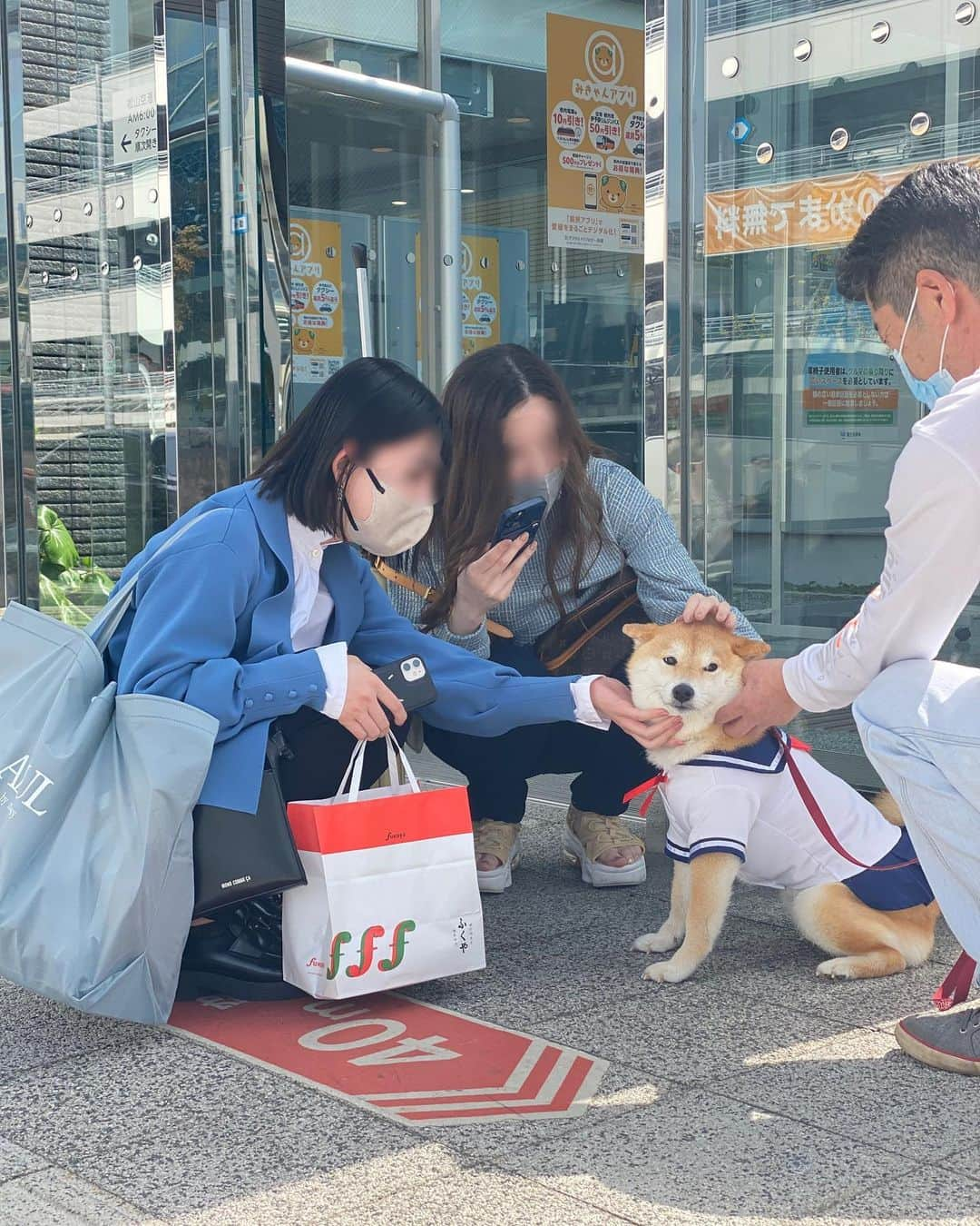 柴犬小雨さんのインスタグラム写真 - (柴犬小雨Instagram)「・ 昨日は福岡のお友達が、こさめに会いに来てくれました♡ ・ ・ 毎日インスタは見てくれてるけど、こさめに会うのは初めて。 でも、尻尾フリフリお出迎えしてたよ🐕💕 車内ではお膝で寝んね。 安心しきってました🤭 ・ さて、先ずは2人を〝砥部焼観光センター炎の里” @tobeyaki_taiken へご案内🚗 砥部焼の絵付け体験が出来ます。 私もパパも子供の頃に絵付けした茶碗や湯呑みが実家にあるよ😂 2人は絵付け体験は初めてだったらしく、とても喜んでくれました✨ ・ この後、ホテルまで送って一旦別れ、夕方待ち合わせする事に。 私達もお家へ帰って一休み🏡 ・ お土産にいただいた明太子に手が伸びそうでしたが、彼女達と夜ご飯の約束してたのでガマンしたよ笑 ・ ・ 次は、道後観光へ。 思いがけない出会いもありました! ・ 次回へ続くよー↪️ ・ ・ ・ #shiba_snap #shibamania #petstagram #dog  #shibadog  #pet #shiba #shibainu #shibaaaaainu #shibastagram #pecoいぬ部 #dogstagram #愛媛旅行 #仔犬#狗 #犬のいる暮らし #犬のいる生活 #こいぬ#松山空港 #豆柴#まめしば#しばいぬ #9gag #しばけん #ペット#小狗#柴犬#犬#柴犬小雨#シバイヌ」4月17日 7時16分 - fuji_jun1205