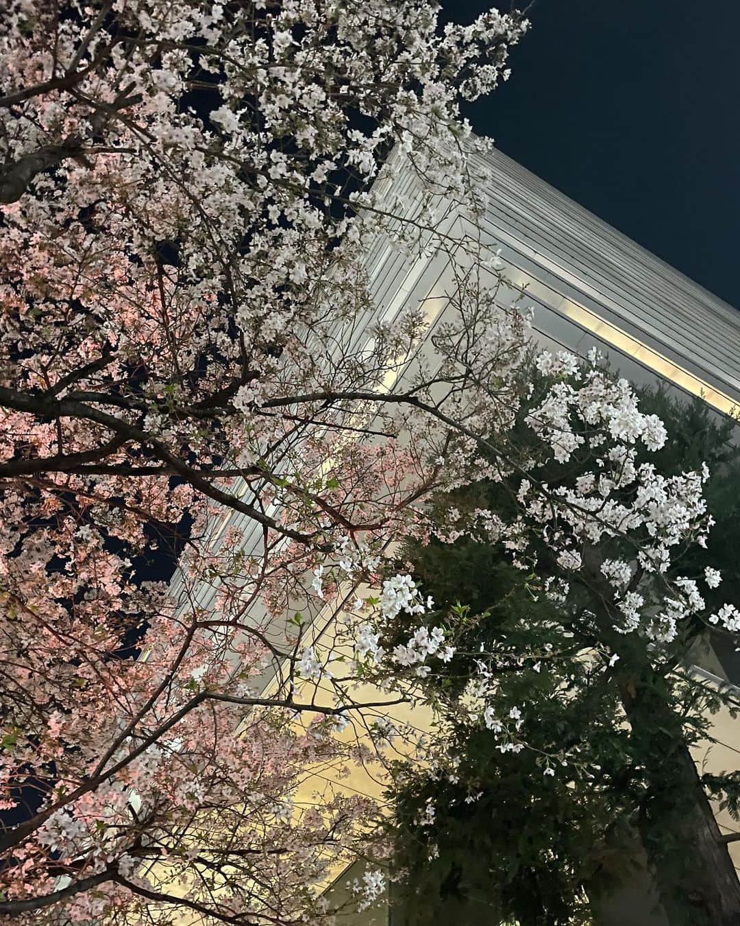 𝑚𝑜𝑚𝑜のインスタグラム