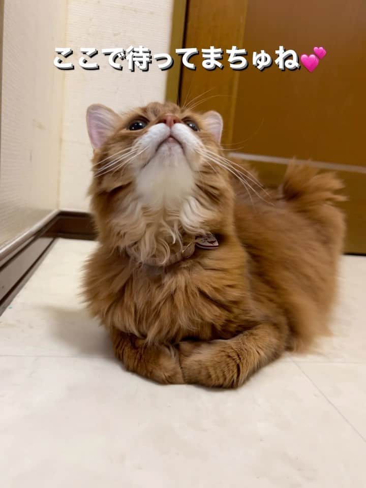 Nahoのインスタグラム