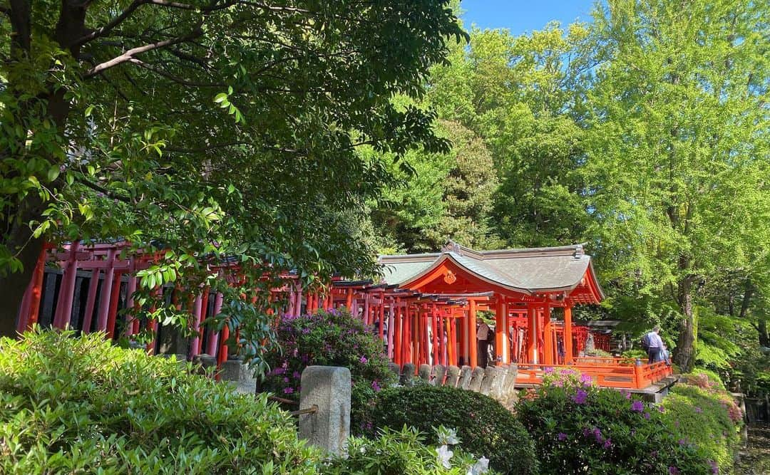 km観光タクシーさんのインスタグラム写真 - (km観光タクシーInstagram)「Nezu Jinja Shrine  #tokyotour #tokyolife #tokyonow #tokyotrip #tokyotravel #tokyojapan #thingstodointokyo #tokyotokyo #tokyosightseeing #tokyotourism #tokyophotography #visittokyo #kmtaxi #観光タクシー #kmタクシー #東京観光タクシー #東京観光」4月17日 8時40分 - tokyodrive.jp