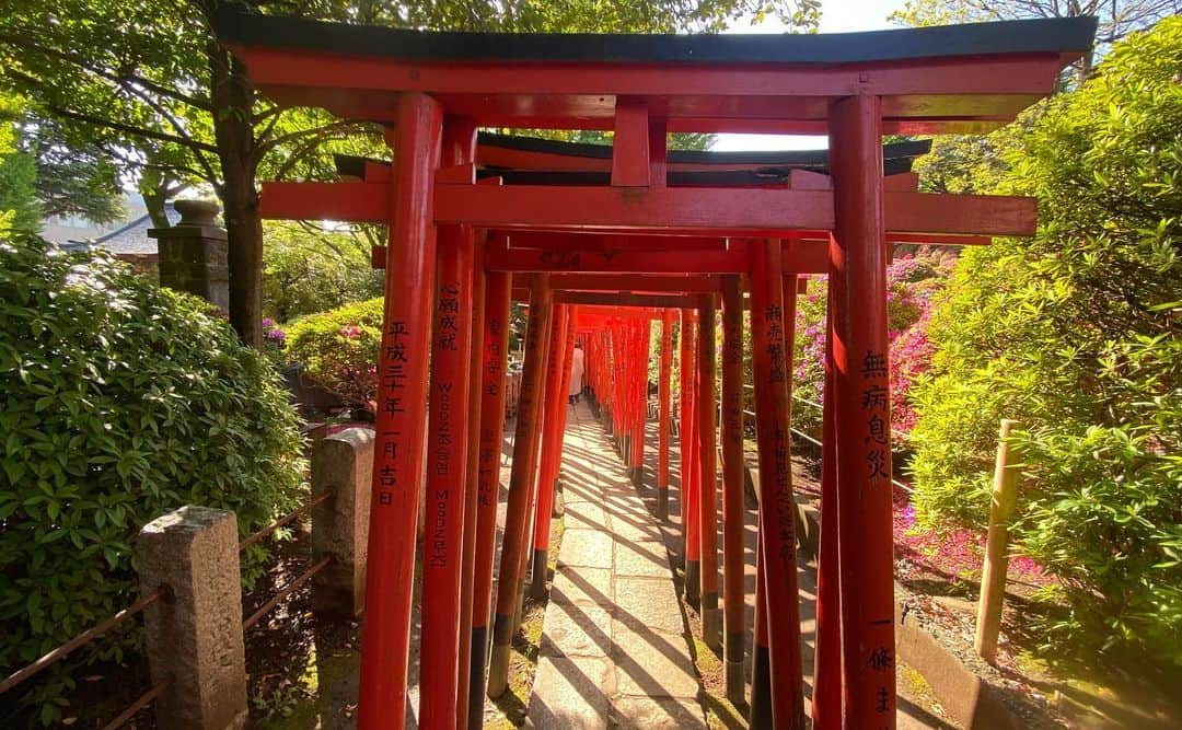 km観光タクシーさんのインスタグラム写真 - (km観光タクシーInstagram)「Nezu Jinja Shrine  #tokyotour #tokyolife #tokyonow #tokyotrip #tokyotravel #tokyojapan #thingstodointokyo #tokyotokyo #tokyosightseeing #tokyotourism #tokyophotography #visittokyo #kmtaxi #観光タクシー #kmタクシー #東京観光タクシー #東京観光」4月17日 8時40分 - tokyodrive.jp