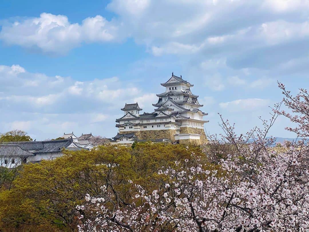 大越かず江さんのインスタグラム写真 - (大越かず江Instagram)「✨白鷺城🌸桜✨  綺麗に澄みきった空☀️ イロトリドリの桜🌸 なんて素敵な景色だろう😌  何百年もの間 この素敵な景色を どれだけの人が目にしたのかな✨🌱😌🌱✨  圧巻✨😳✨  幸せって こんな素敵な時間の積み重ねで出来てくるものなんだろうね💛  小さな幸せを たくさん積み上げていこうヾ(•ω•`*)💕  ✨✨✨✨✨✨✨✨✨✨✨✨✨✨✨✨  ✨Shirasagi Castle 🌸Sakura✨  Clear sky ☀️ Colorful cherry blossoms🌸 What a lovely view 😌  I wonder how many people have seen this wonderful scenery for hundreds of years✨🌱😌🌱✨  Masterpiece ✨😳✨  Happiness is something that can be made by accumulating such wonderful times 💛  Let's accumulate a lot of small happinessヾ(•ω•`*)💕  ✨✨✨✨✨✨✨✨✨✨✨✨✨✨✨✨ @himejicastle_operations_office  @himejijoevent    #白鷺城  #姫路城  #shirasagicastle  #himejicastle  #桜 #cherryblossom  #素敵な景色  #旅行好きな人と繋がりたい #美  #生きる意味 #sexy #セクシー系 #ジム女子 #美肌ケア #写真好きな人と繋がりたい #女優好きな人と繋がりたい #美意識人と繋がりたい #幸福 #happy #東京 #tokyo #日本 #japan  #美魔女モデル #actress #followforfollowback #ポートレート女子 #loveyou #仲間募集  #空が好きな人と繋がりたい」4月17日 8時52分 - bluemoonseasky