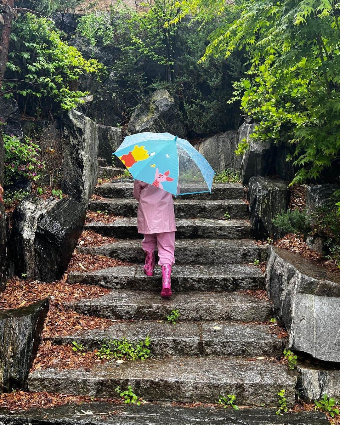 シム・ジホさんのインスタグラム写真 - (シム・ジホInstagram)「비 내리는 주말.. 비를 맞으러 가야한다고 해서 동네 산책~☔️ 꽃들 비 안맞게 해준다고 우산도 씌워주고 물웅덩이 만나면 신나서 첨벙첨벙. 아이들은 그저 비 맞는 게 좋은가보다~^^」4月17日 8時59分 - pickybonbon