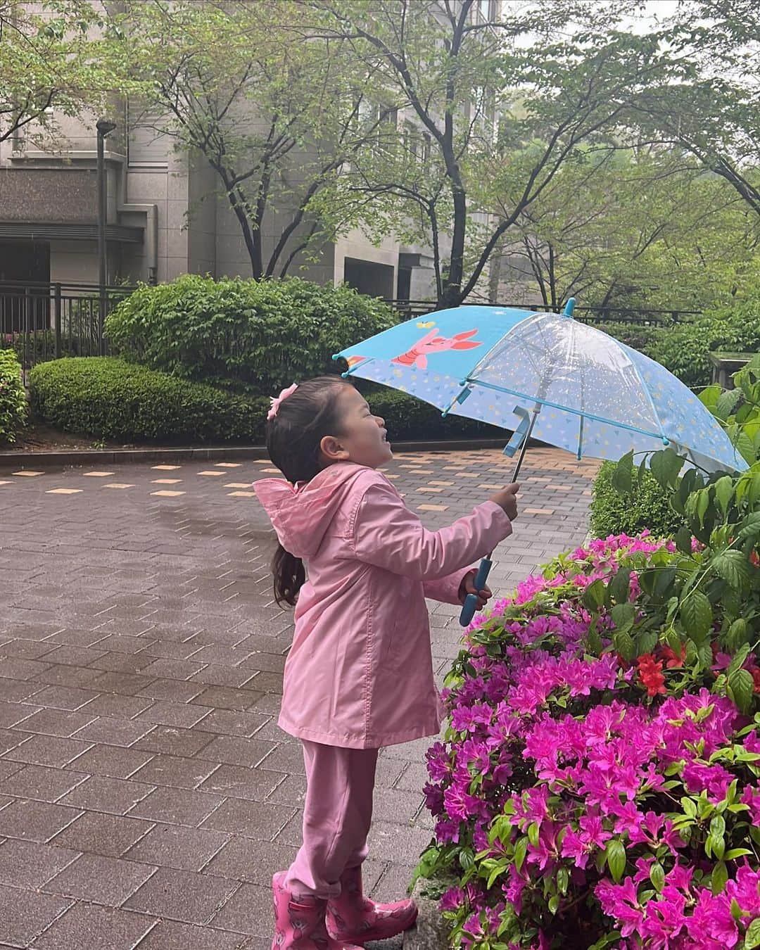 シム・ジホのインスタグラム：「비 내리는 주말.. 비를 맞으러 가야한다고 해서 동네 산책~☔️ 꽃들 비 안맞게 해준다고 우산도 씌워주고 물웅덩이 만나면 신나서 첨벙첨벙. 아이들은 그저 비 맞는 게 좋은가보다~^^」