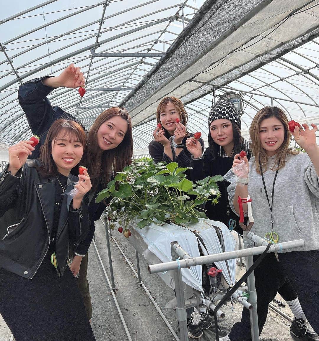 高塚南海のインスタグラム：「. . 滋賀まで遊びに来てくれた🤲´-🤍🤍 早く試合見に行きたい⚾️ みんなありがとうね~!! . 北川農園さんのいちご沢山 食べて幸せだった🍓 @kitagawa_nouen」