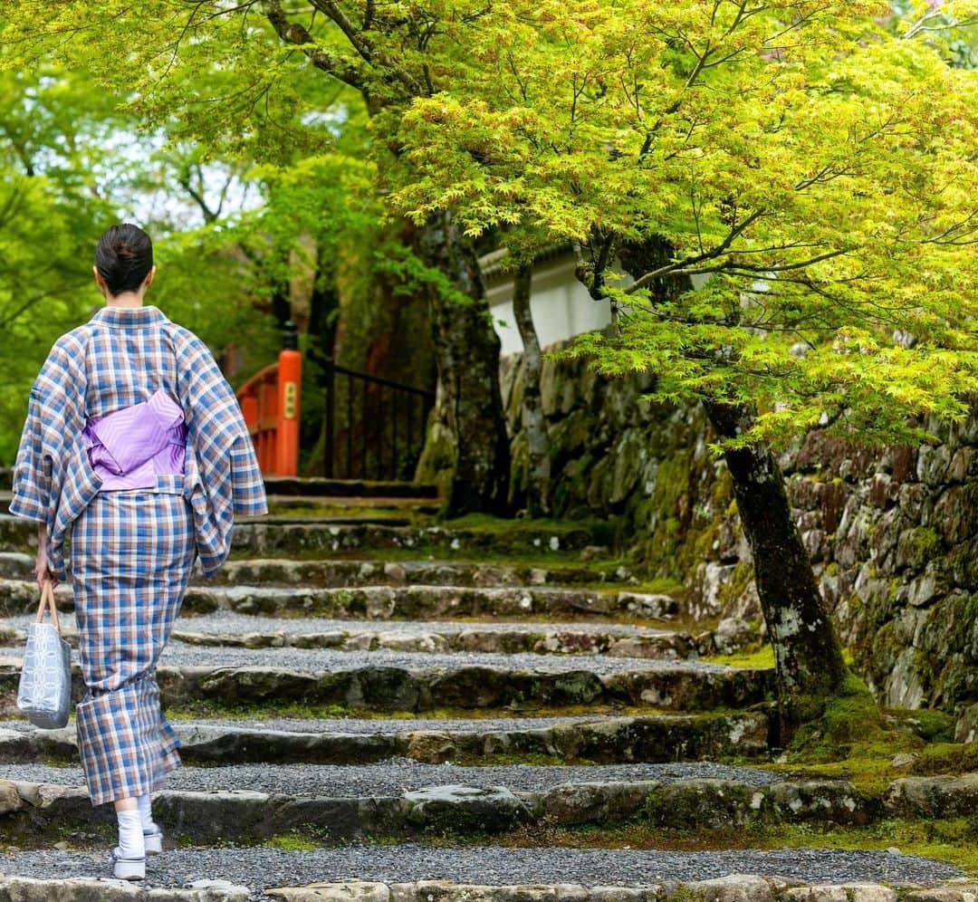 川原亜矢子さんのインスタグラム写真 - (川原亜矢子Instagram)「朝散歩 #kyoto #trip #kimono #旅 #左京区 #朝活 #着物 #綿着物」4月17日 11時28分 - ayakokawahara