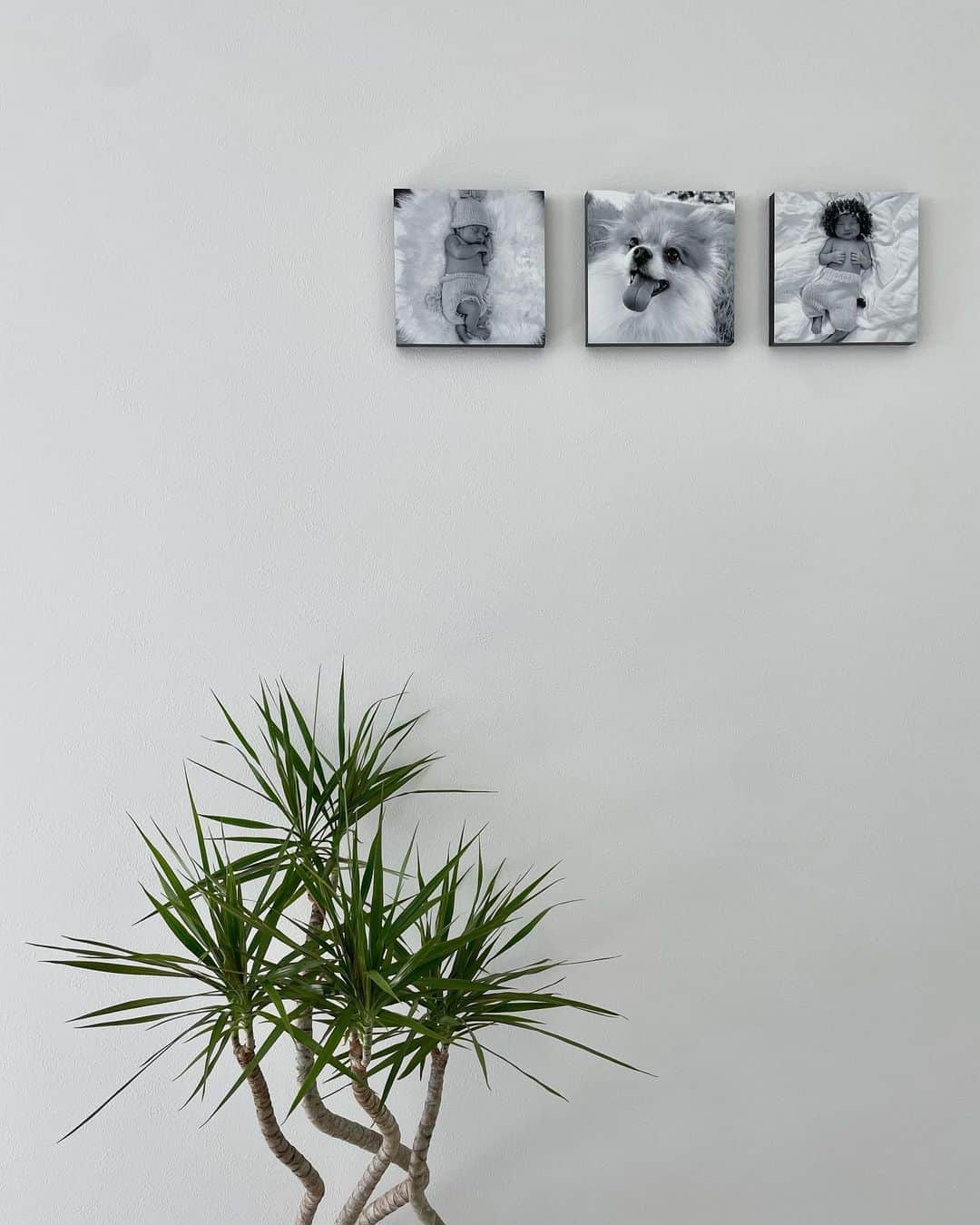 LINKAのインスタグラム：「myhome🌿👶🏻🐶👶🏻」