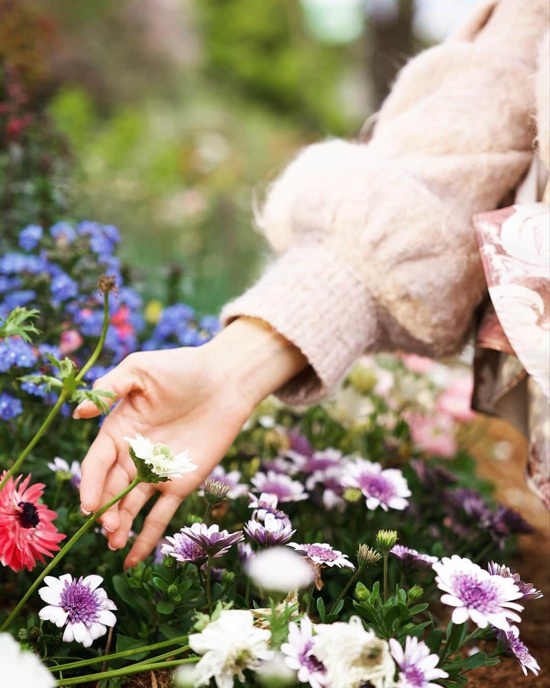 小池ジョアンナのインスタグラム：「Flowers💐  春らしい写真を撮ってもらいました☺️  #spring #flowers #colorfulflowers #portraitphotography #portrait #ポートレート #ファインダー越しの私の世界」