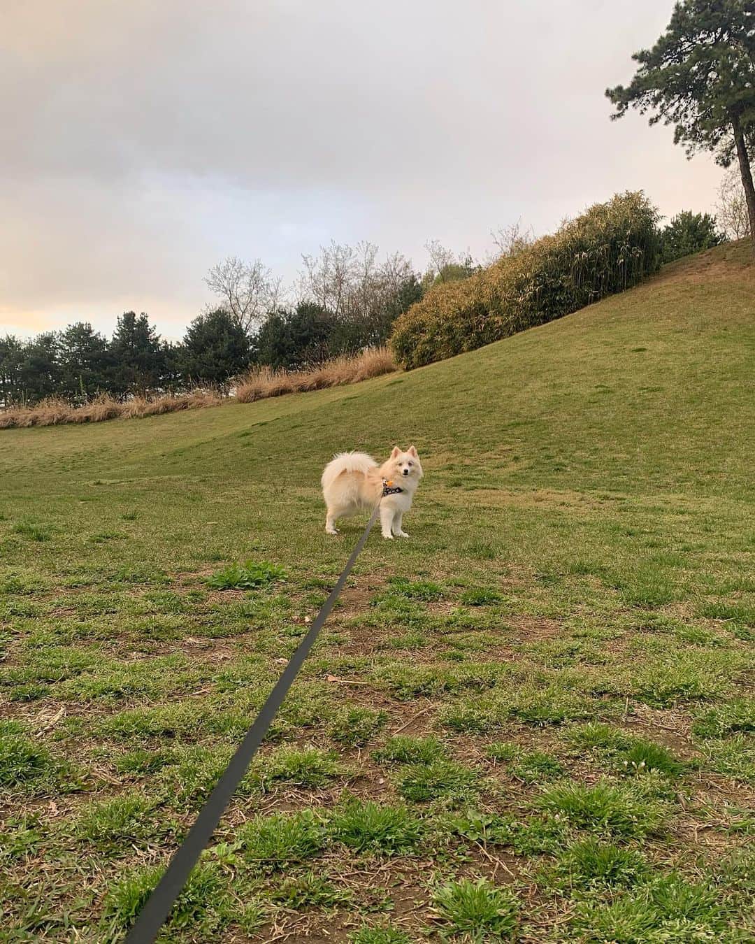 ト・サンウのインスタグラム：「🐶😺🦭👨‍👦🚲」