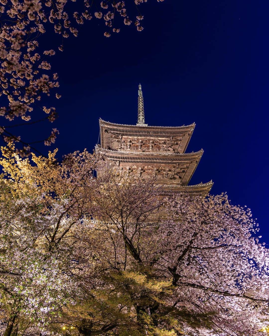 SHOCK EYEさんのインスタグラム写真 - (SHOCK EYEInstagram)「振り返れば東寺の夜桜のライトアップも最高だったなあ🌸✨  #東寺 #toji #桜 #夜桜 #kyoto #京都」4月17日 12時20分 - shockeye_official