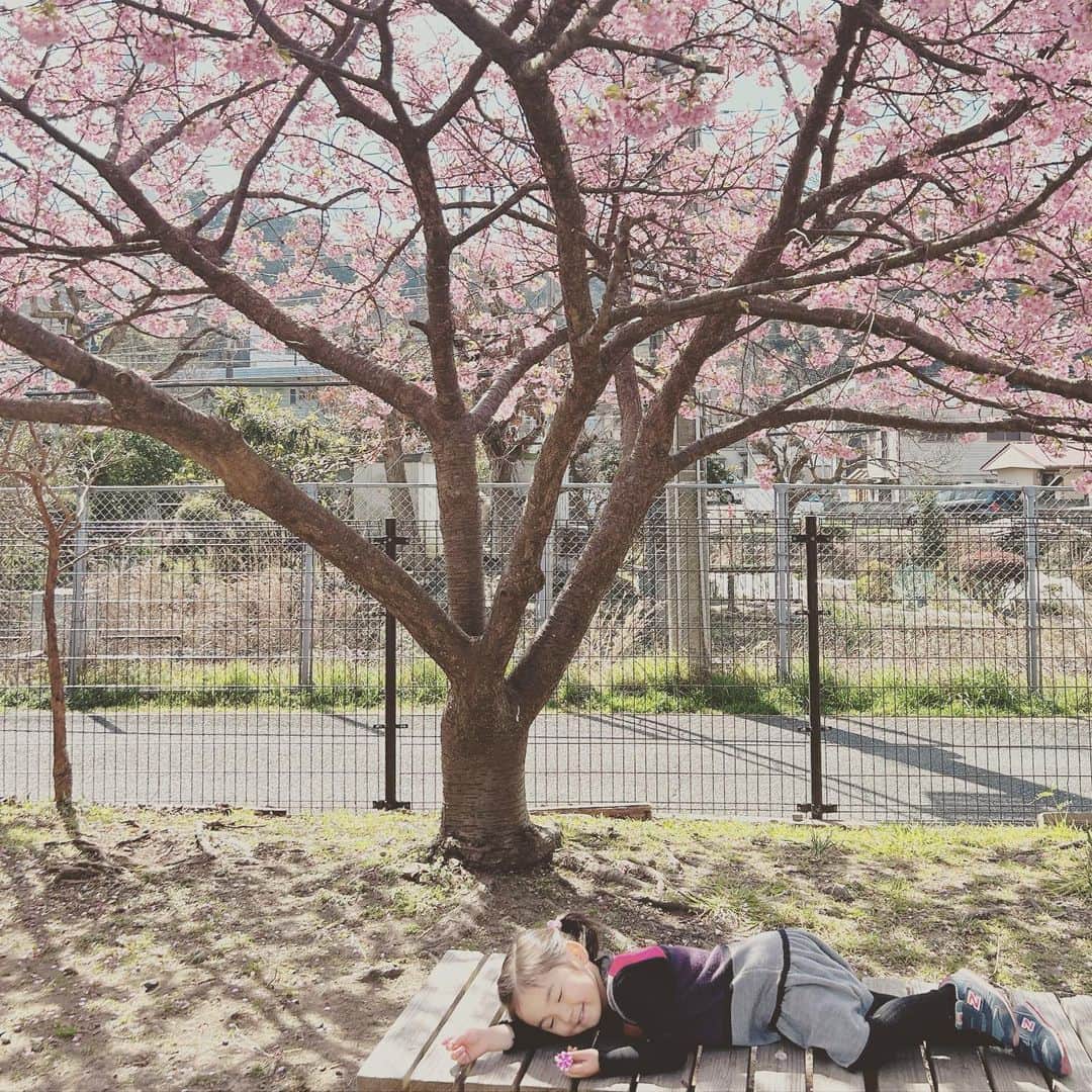 KIKIのインスタグラム：「KIKI、ときどき鎌倉暮らし。 FIGARO.jpでの連載 「私の好きなお花見スポット。」について書いています さくらの花見の時季は過ぎてしまったけれど 鎌倉ではこれから夏にかけて あちこちでいろいろな花が咲きほこり 散歩や山歩きが楽しい季節に 連載はリンクはプロフィールにもはってあります ぜひご覧ください！   https://madamefigaro.jp/series/kiki/230410-sakura.html」