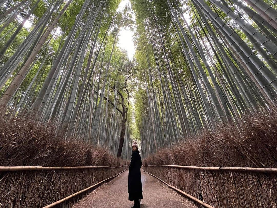 楠本千奈（神野千奈）さんのインスタグラム写真 - (楠本千奈（神野千奈）Instagram)「#竹林の小径 #京都嵐山 #観光スポット #kyoto #arashiyama」4月17日 21時44分 - tinakusumoto