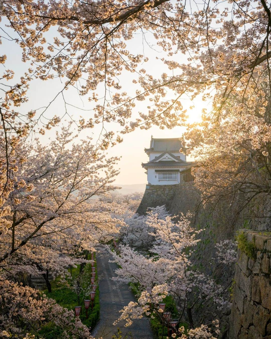 梶原憲之さんのインスタグラム写真 - (梶原憲之Instagram)「. 今年4月11日にOPENしたばかりの宿泊施設  「フェアフィールド･バイ･マリオット･岡山津山」  のPRのお手伝いをさせて頂けるということで、実際に宿泊させてもらいました！  宿泊特化型のホテルということで、館内にレストランが無いのが特徴  そのかわり隣接する道の駅や飲食店を利用することで地域の特色を楽しむといった感じだそうです。  朝食付きプランでは岡山県産の食材を詰め込んだ「朝食ボックス」を広いロビーラウンジでゆっくりと味わう事ができます。  岡山県津山市を拠点に観光する時や出張などのビジネスシーンでもぴったりな宿泊施設だと思いますので、気になったかたはぜひ  #フェアフィールドバイマリオット岡山津山 #日本をもっと楽しむ旅へ #道の駅プロジェクト  #津山市 #岡山#岡山県#桜#cherryblossom #風景ポートレート#奈義町現代美術館 #美作滝尾駅#art_of_japan_#桜スポット #japan  #岡山観光#岡山旅行#nikoncreators #japantravel#おかやまハレ旅#レトロ  #retrip_news #絶景#鶴山公園#PR #light_nikon  #jalan_travel #インスタ映え」4月17日 21時45分 - kaji_nori06