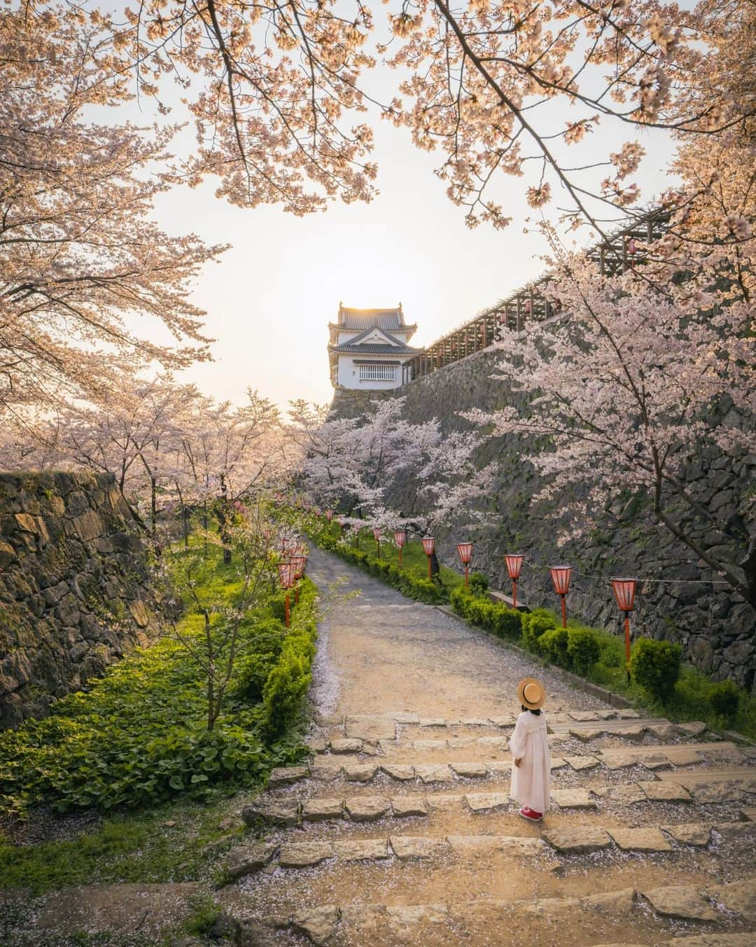 梶原憲之さんのインスタグラム写真 - (梶原憲之Instagram)「. 今年4月11日にOPENしたばかりの宿泊施設  「フェアフィールド･バイ･マリオット･岡山津山」  のPRのお手伝いをさせて頂けるということで、実際に宿泊させてもらいました！  宿泊特化型のホテルということで、館内にレストランが無いのが特徴  そのかわり隣接する道の駅や飲食店を利用することで地域の特色を楽しむといった感じだそうです。  朝食付きプランでは岡山県産の食材を詰め込んだ「朝食ボックス」を広いロビーラウンジでゆっくりと味わう事ができます。  岡山県津山市を拠点に観光する時や出張などのビジネスシーンでもぴったりな宿泊施設だと思いますので、気になったかたはぜひ  #フェアフィールドバイマリオット岡山津山 #日本をもっと楽しむ旅へ #道の駅プロジェクト  #津山市 #岡山#岡山県#桜#cherryblossom #風景ポートレート#奈義町現代美術館 #美作滝尾駅#art_of_japan_#桜スポット #japan  #岡山観光#岡山旅行#nikoncreators #japantravel#おかやまハレ旅#レトロ  #retrip_news #絶景#鶴山公園#PR #light_nikon  #jalan_travel #インスタ映え」4月17日 21時45分 - kaji_nori06