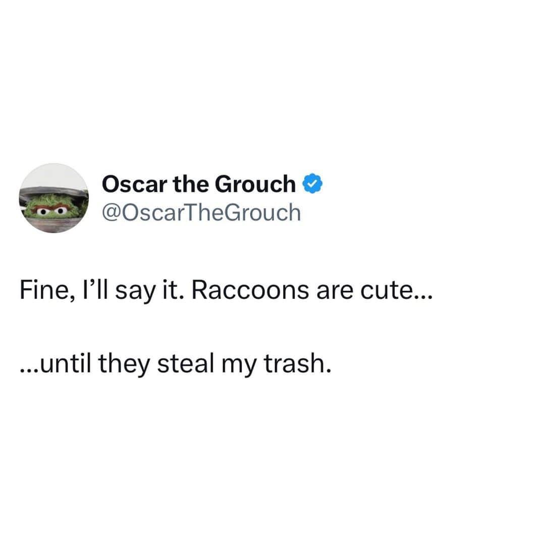 セサミストリートさんのインスタグラム写真 - (セサミストリートInstagram)「Raccoons 🤝 Oscar the Grouch Loves Trash💕🗑️」4月17日 22時01分 - sesamestreet