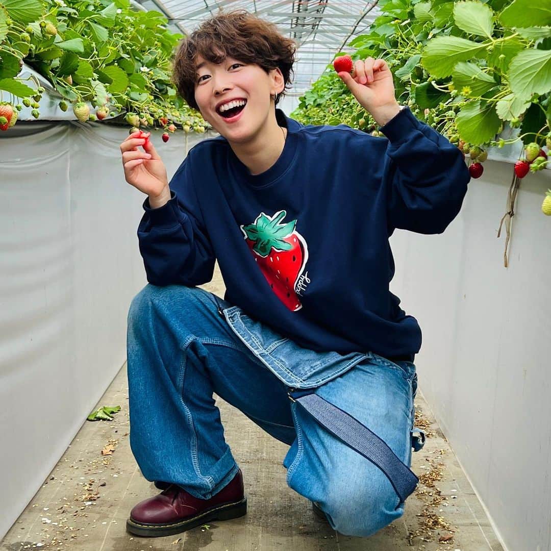 ひなたのインスタグラム：「いちご狩ってきました♡ Poppyのいちごスウェットを身にまとって苺むさぼり食ってきた🍓  ぎーにょに苺をあーんしてあげようとしたらめちゃくちゃ嫌がられて顎もニ重になって大爆笑で盛れなかった図です。 でもこの2人楽しそうでいいな♡いつも♡  写真380枚の中から選抜されたスタメン8枚です。 たんとおたべ」