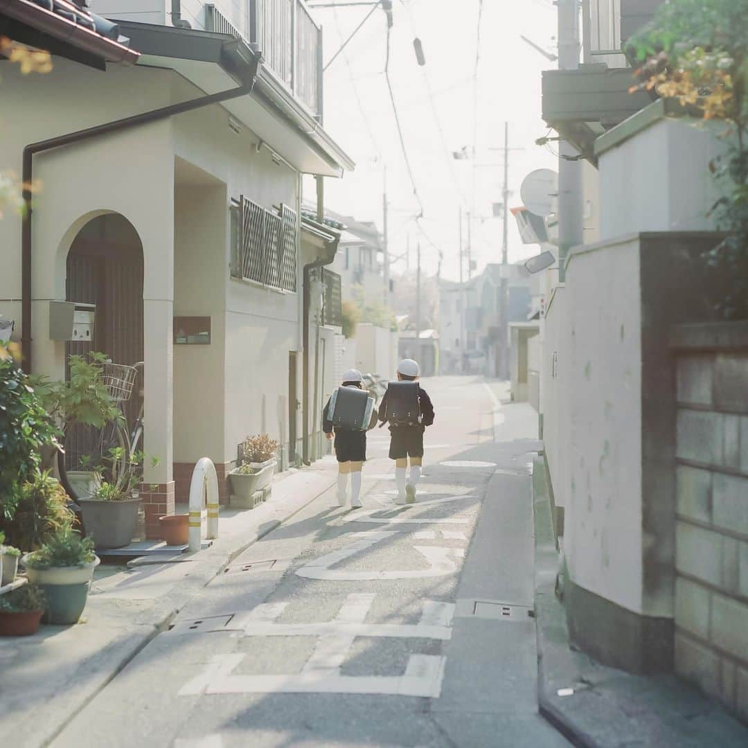 濱田英明さんのインスタグラム写真 - (濱田英明Instagram)「Haru and Mina, 2011-2023 #pentax67」4月17日 22時05分 - hamadahideaki