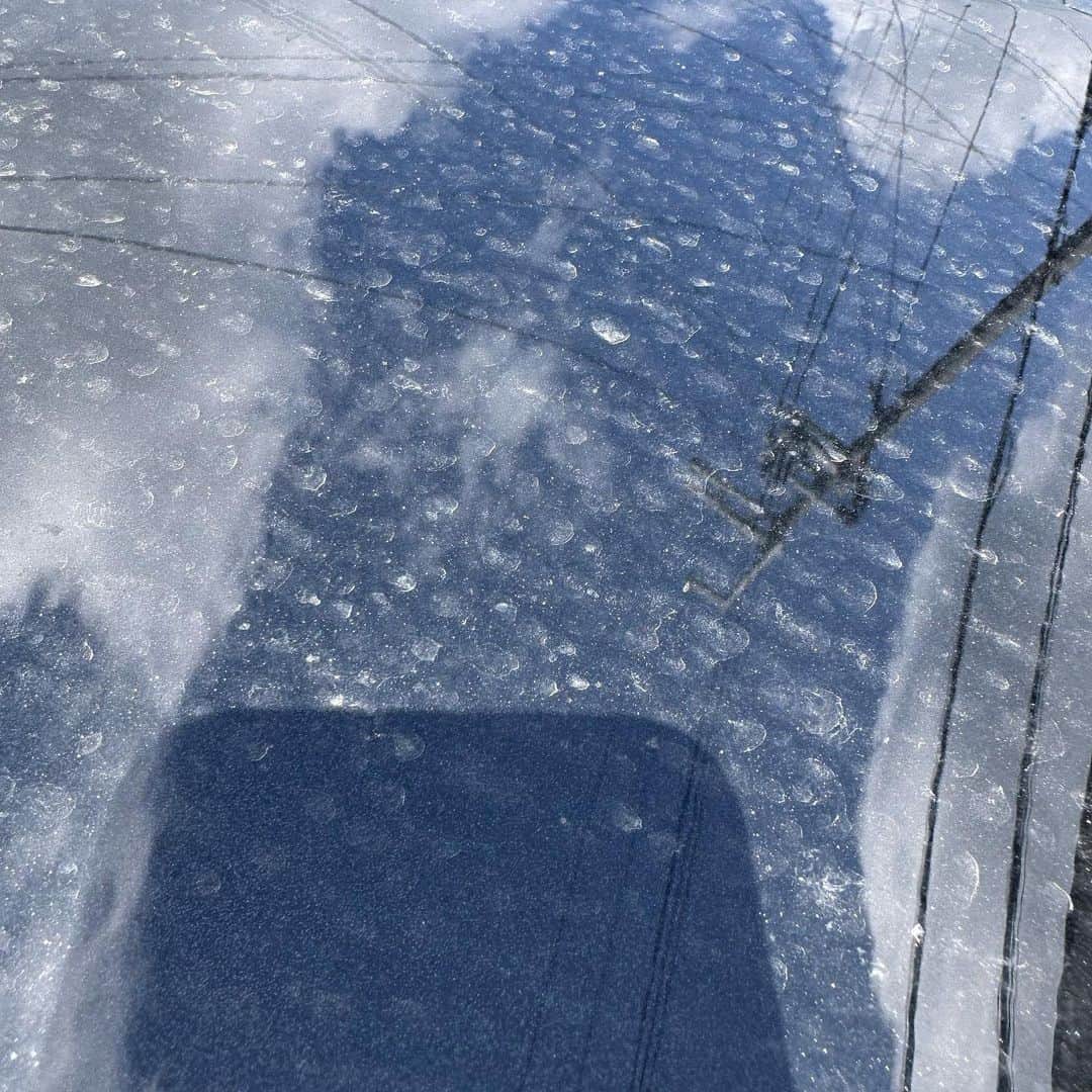 のインスタグラム：「2日前の深夜、大雨が降っていたので水で流したら車綺麗になるんじゃね？ってのを試しました  次の日の朝はとても綺麗でした  だがその日の昼間から雨がふり  今日起きたら引くくらい車が汚れてました、、、、(写真1枚目)  というわけで  本日は洗車しました🚗  空が映り込むくらい綺麗になったぜ🔥(写真2枚目)  気分爽快！！  ついでにオイルも変えたぜ🔥  今ならどこまででも走れるわ  と家の椅子に座りながら文字を打ってます  とりあえず早くライブしたいです🎸  そろそろみんなに会いたいなと思ってます💎  よろしく頼むぜ🔥  それでは  ほなっち(๑^-^๑)/  #たんさん #車 #洗車 #花粉」