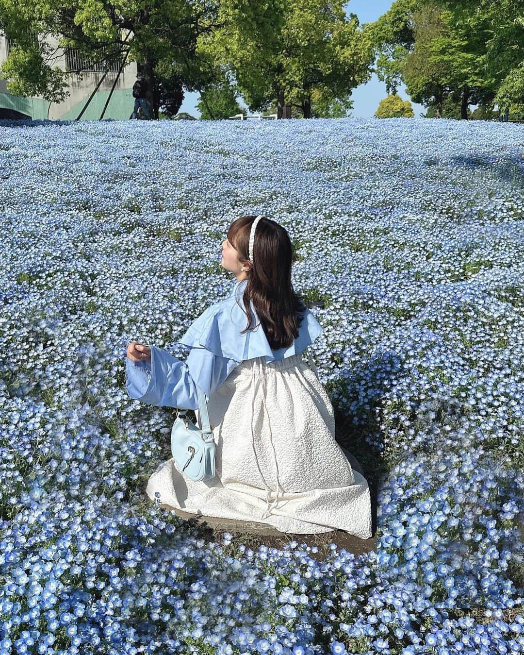 計良日向子（ひなひ）さんのインスタグラム写真 - (計良日向子（ひなひ）Instagram)「. 都内でみれるネモフィラ畑🦋💠 . . . 西日暮里駅から15分くらいで行ける 舎人公園にこんなに綺麗に ネモフィラが咲いてたよ🤍💎 人もそんなに多くなくてかなり穴場💞 駅からも直結でアクセスも良くて 気軽にネモフィラ見れておすすめ🫶 . . . みずきちゃんのプーともたくさん 遊んで、天気も良くていい1日でした🐶💞 . . . 👗ブラウス　@grl_official . 👗ワンピース　@grl_official . 👜バッグ　@shein_japan . 🩰シューズ　@bridget_birkin . . . . #ネモフィラ #ネモフィラ畑 #舎人公園 #お花畑 #お花畑コーデ #grl #グレイル #shein購入品 #sheinコーデ #プチプラコーデ」4月17日 22時28分 - kerahinako1105