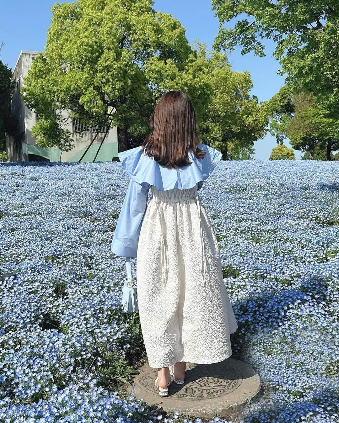 計良日向子（ひなひ）さんのインスタグラム写真 - (計良日向子（ひなひ）Instagram)「. 都内でみれるネモフィラ畑🦋💠 . . . 西日暮里駅から15分くらいで行ける 舎人公園にこんなに綺麗に ネモフィラが咲いてたよ🤍💎 人もそんなに多くなくてかなり穴場💞 駅からも直結でアクセスも良くて 気軽にネモフィラ見れておすすめ🫶 . . . みずきちゃんのプーともたくさん 遊んで、天気も良くていい1日でした🐶💞 . . . 👗ブラウス　@grl_official . 👗ワンピース　@grl_official . 👜バッグ　@shein_japan . 🩰シューズ　@bridget_birkin . . . . #ネモフィラ #ネモフィラ畑 #舎人公園 #お花畑 #お花畑コーデ #grl #グレイル #shein購入品 #sheinコーデ #プチプラコーデ」4月17日 22時28分 - kerahinako1105