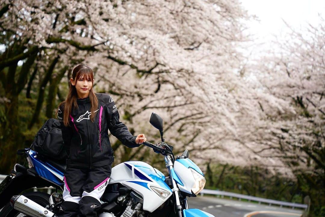 葉月美優さんのインスタグラム写真 - (葉月美優Instagram)「❥GSR250と桜🌸  カレンダーの写真には箱根ターンパイクの桜のトンネルを選びました✨  これは4月のカレンダーになるかな♫  YouTubeで様子をアップしてるので見てください(*´ω｀*)💕  まだ間に合う桜のスポット提供ありがとうございました！  走ってて気持ちよかったです🌸 来年は富士霊園に行ってみたいなぁ  #桜スポット #箱根ターンパイク #桜とバイク #gsr250 #cbr250rr #tuono660 #大型バイク女子 #桜並木 #箱根 #ツーリング #ツーリングスポット #touring #バイク女子 #バイクのある風景 #alpinestars #バイクツーリング #バイクのある生活 #bikegirl #モトブログ #YouTube」4月17日 22時53分 - miu_haduki